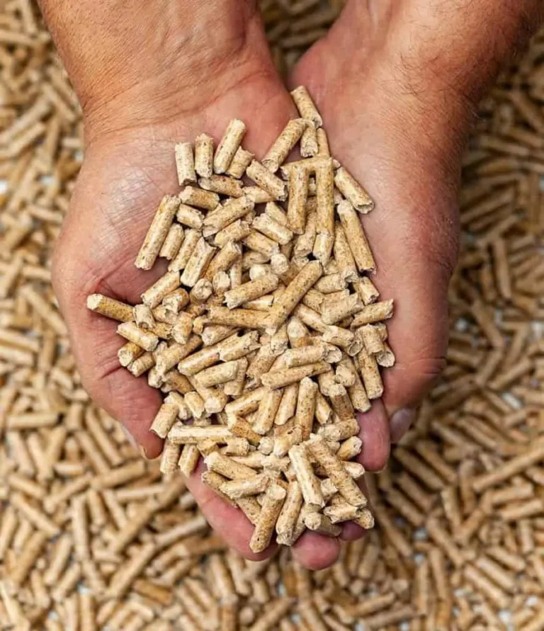 Vendita pellet certificato enplus A1