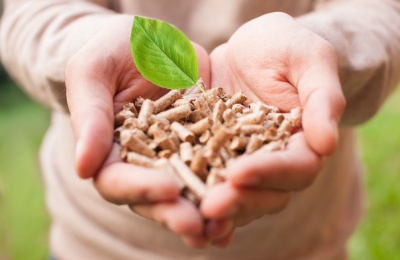 Vendita pellet certificato enplus A1